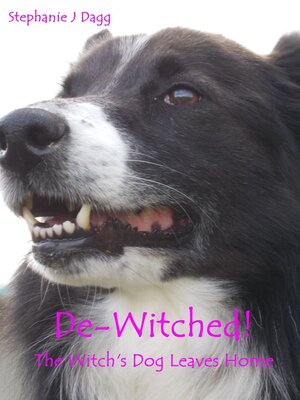 cover image of De-Witched!